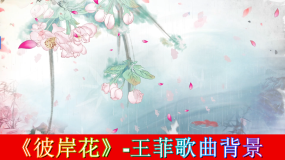 歌曲彼岸花视频素材下载 歌曲彼岸花ae模板下载 Vj师网 歌曲彼岸花视频素材下载 歌曲彼岸花ae模板下载 Vj师网
