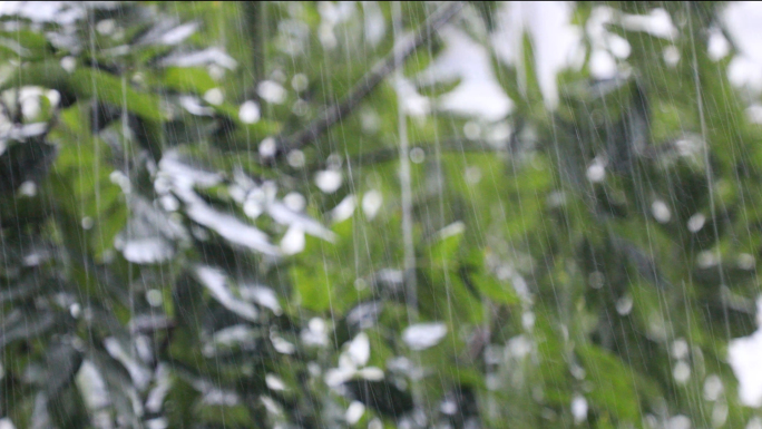 下雨暴雨4K高清实拍