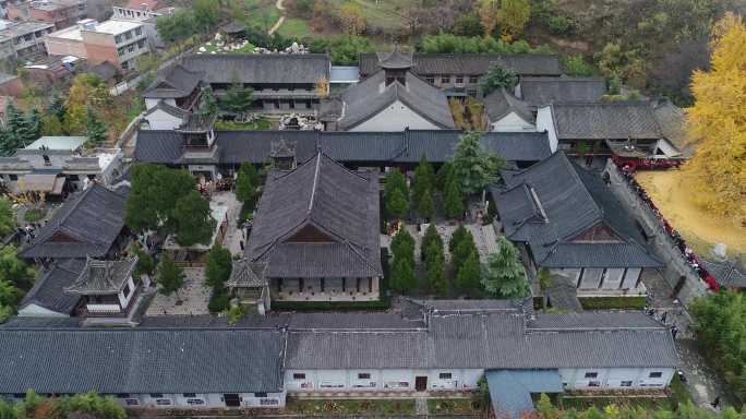 西安秦岭古观音禅寺银杏树