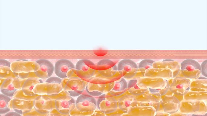 【4K】消除多余脂肪恢复细胞健康