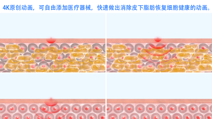 【4K】消除多余脂肪恢复细胞健康
