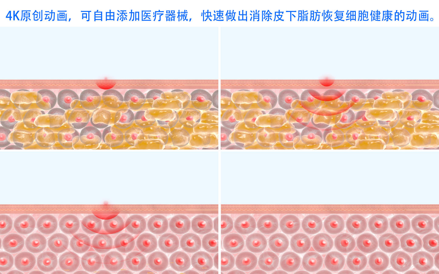 【4K】消除多余脂肪恢复细胞健康