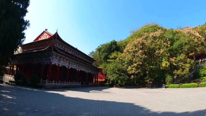 寺院　佛殿　佛塔　冬日暖阳　秋叶　落叶