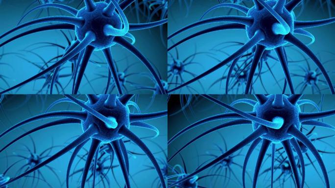 神经细胞神经传导3D动画