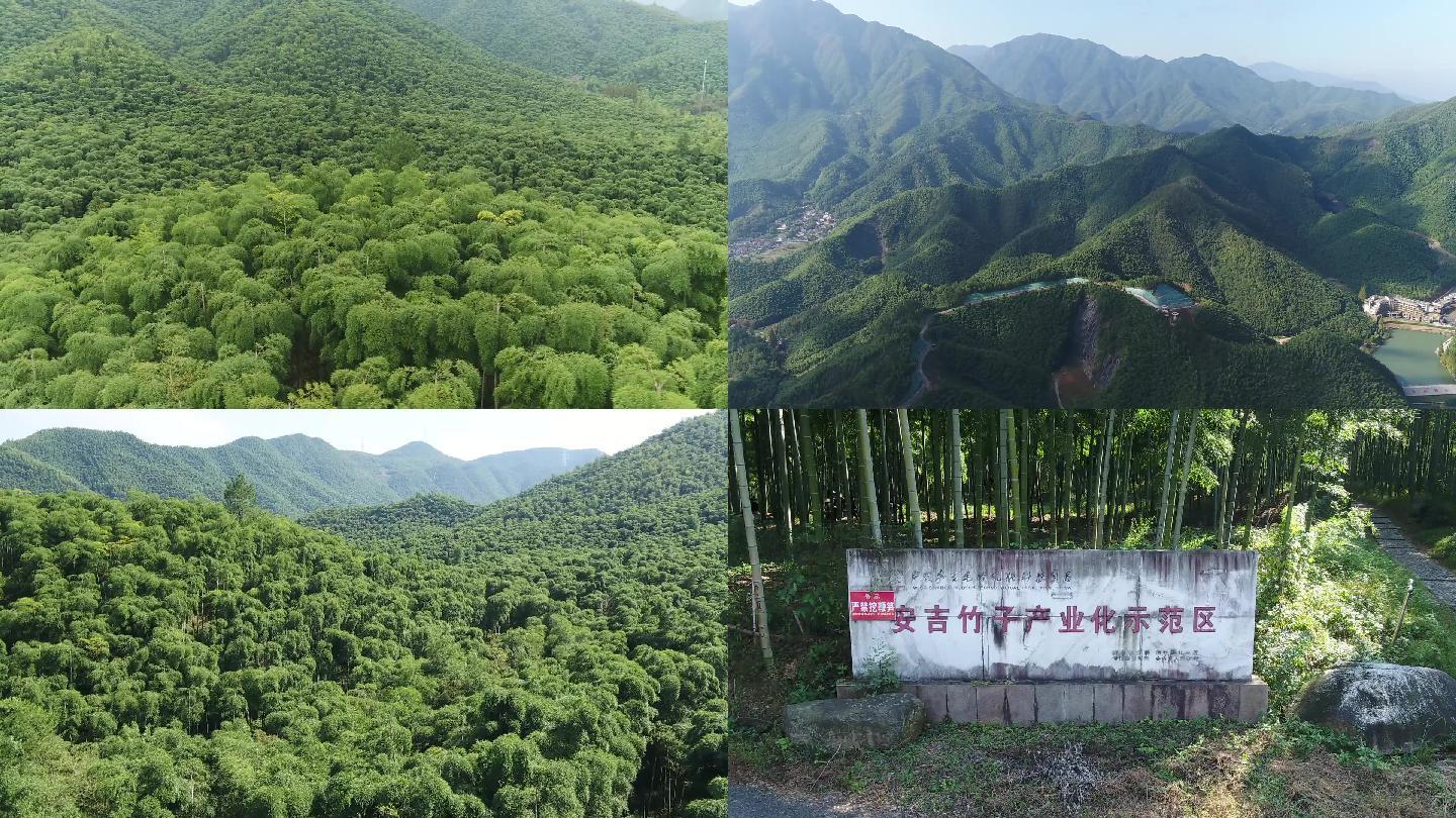 竹林航拍安吉竹林电影取景地