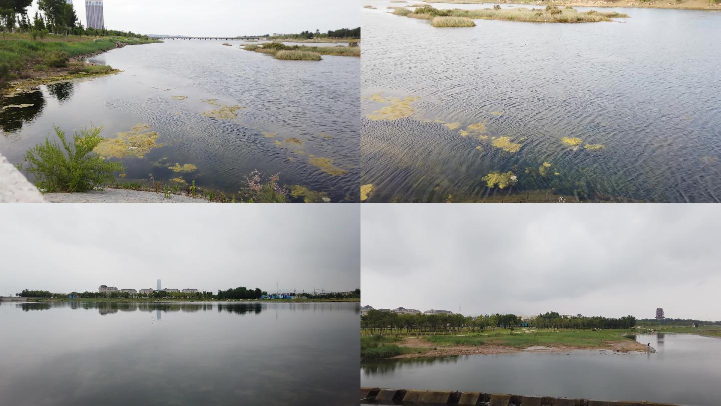 山东牟平沁水河口湿地素材包