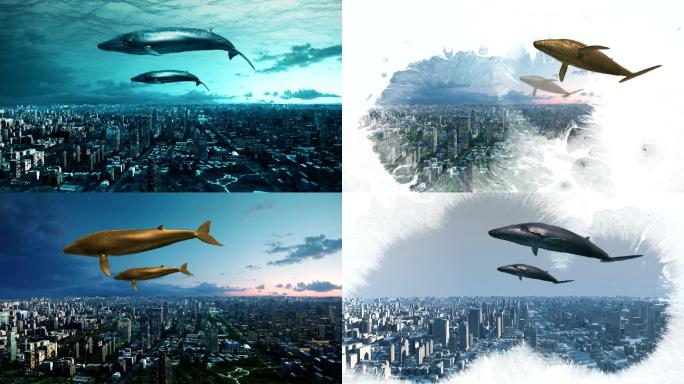梦幻鲸鱼城市视频素材