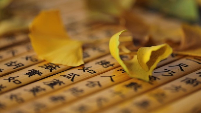 竹简茶经和树叶枯叶银杏叶中国茶文化中国风
