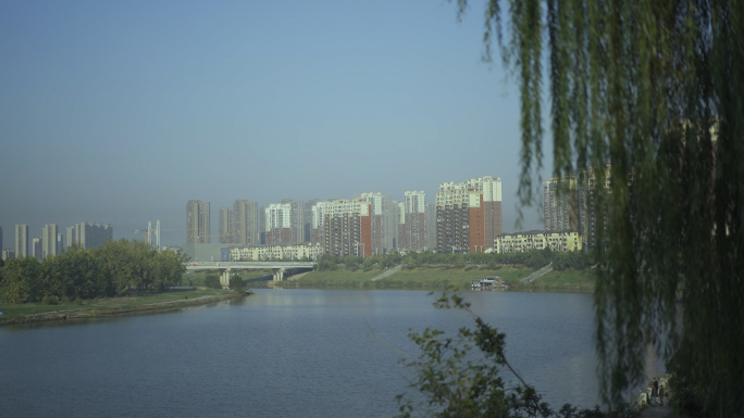 河水杨柳沿江风景