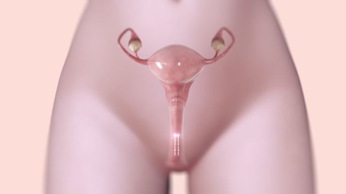 子宫阴道护理保养视频素材