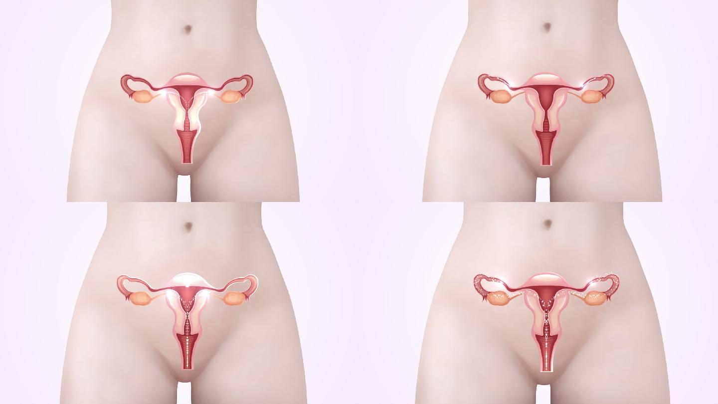 女性子宫阴道卵巢护理保养视频