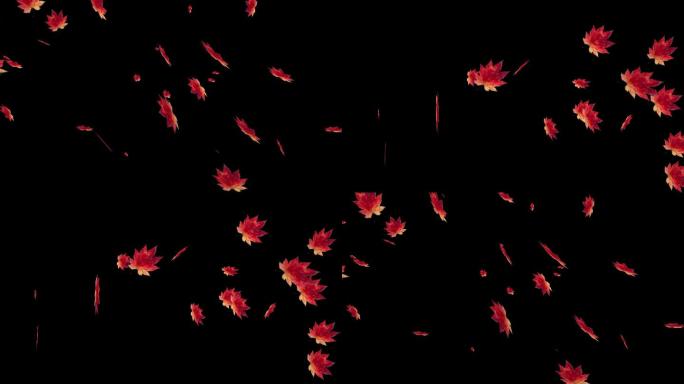 黑背景特效枫叶满天飞