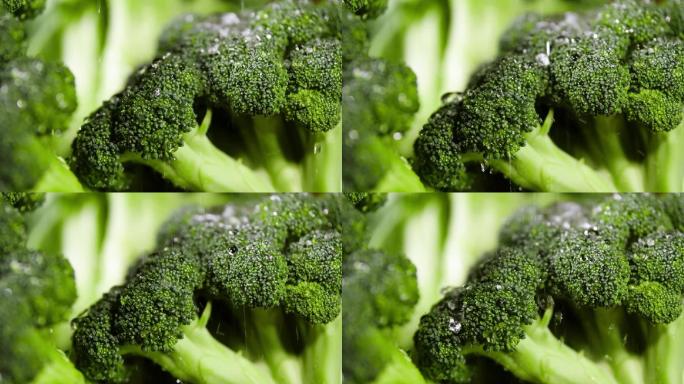 绿色蔬菜营养健康做饭烹饪美食食材