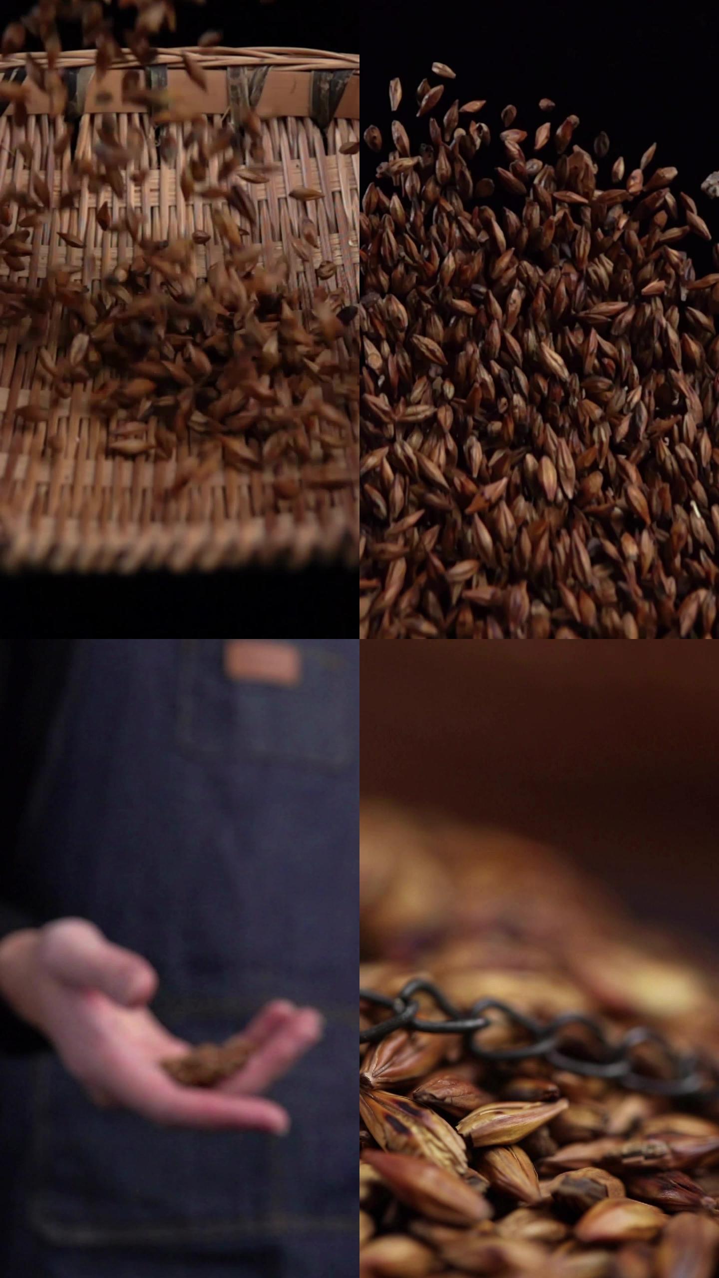 大麦竖版创意视频