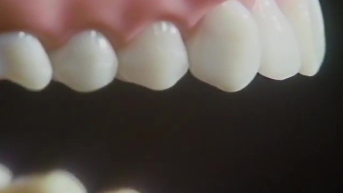 咀嚼系统/牙齿