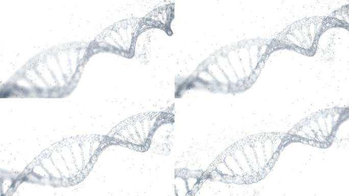 双螺旋DNA旋转黑白