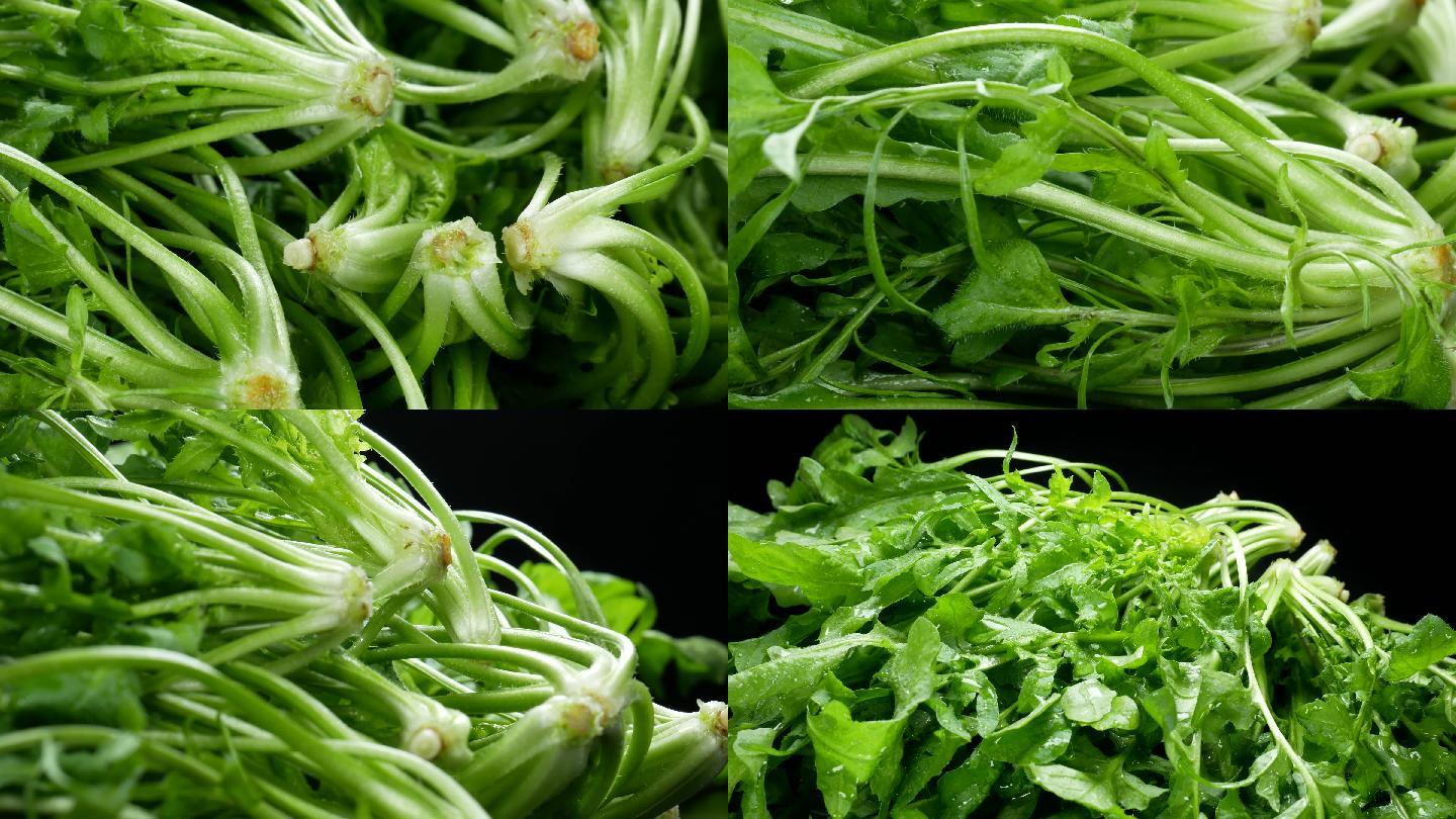 春季野菜的珍品——“灵丹草”荠菜