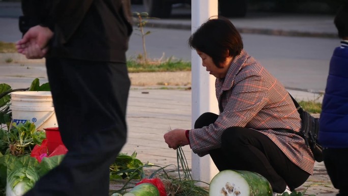 清晨路边摊买菜