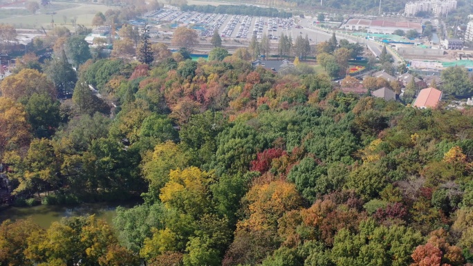 南京栖霞山栖霞寺秋季风光