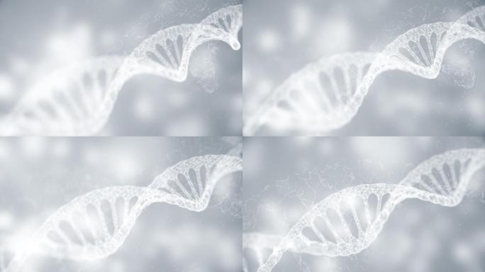 双螺旋DNA旋转白灰