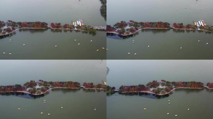 南京玄武湖秋季风光