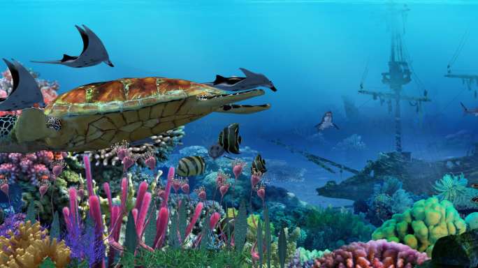 全息海底世界鲨鱼群海龟热带鱼魔鬼鱼
