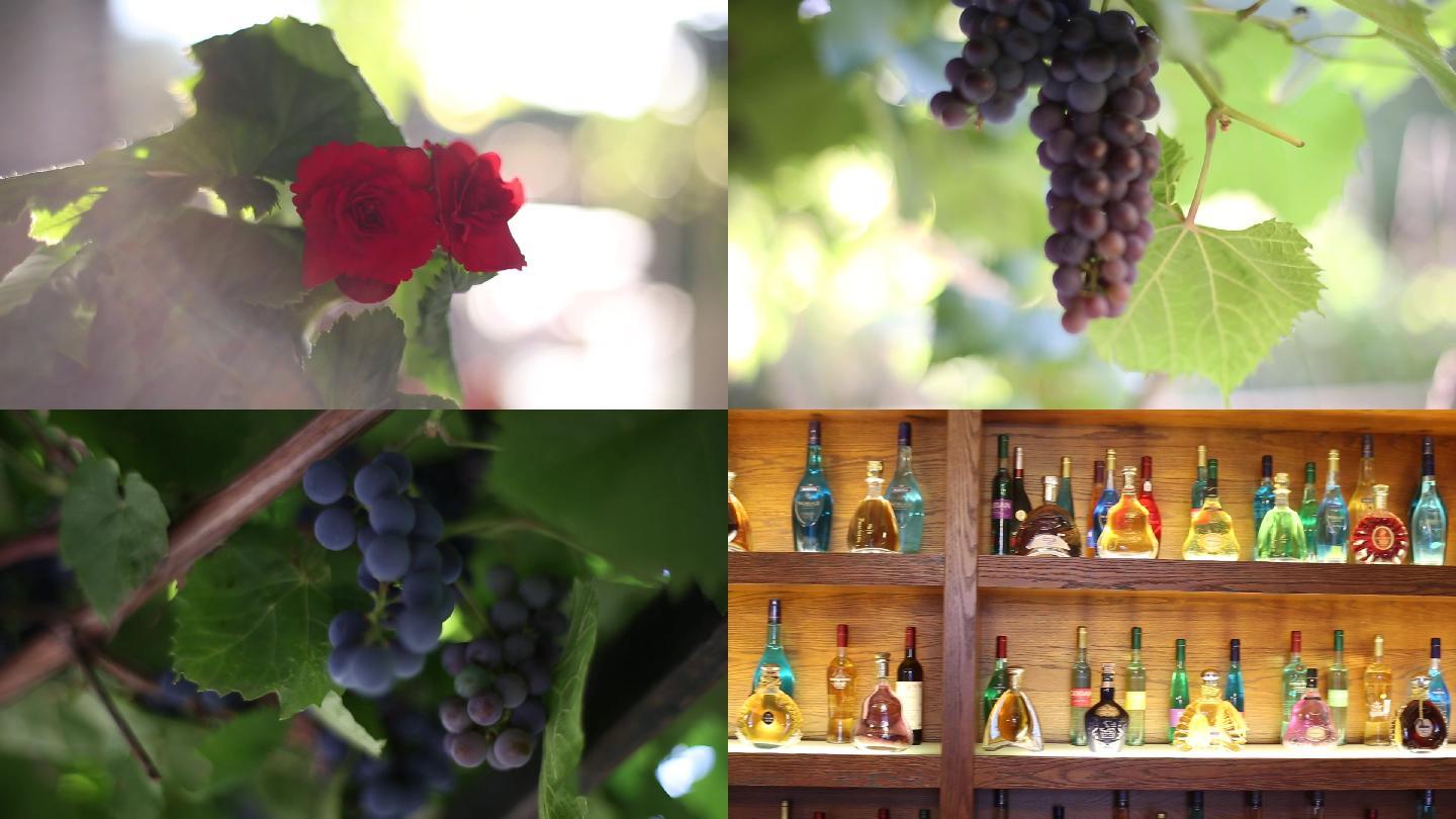 葡萄架酒水高清视频素材