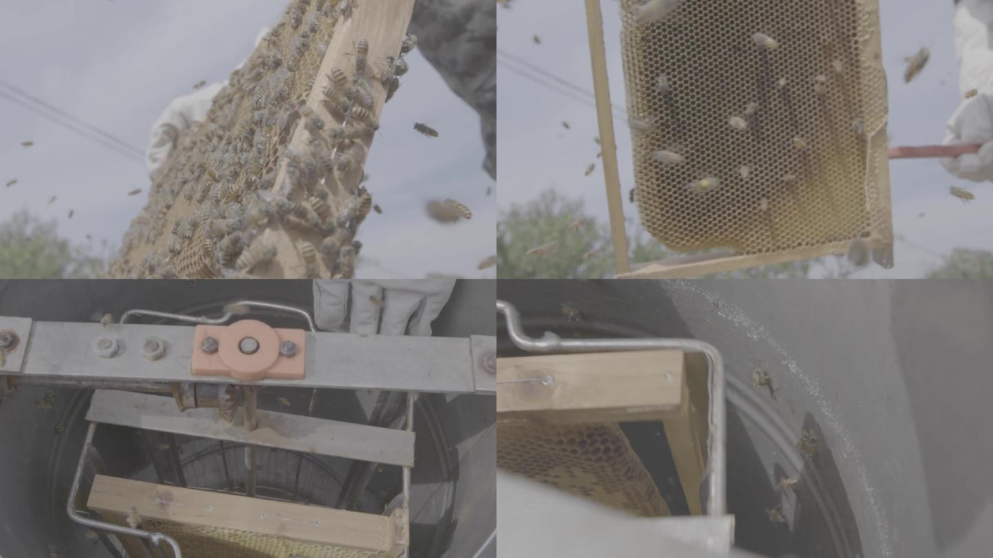 蜂农收蜂蜜蜂箱慢动作log素材