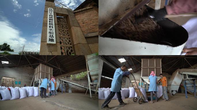 生物质燃料加工二