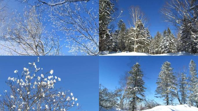 阳光下的雪景林海雪原雪凇