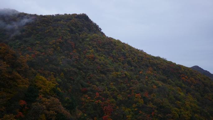 大好河山秋色红叶云光雾山龙头山水航拍4k