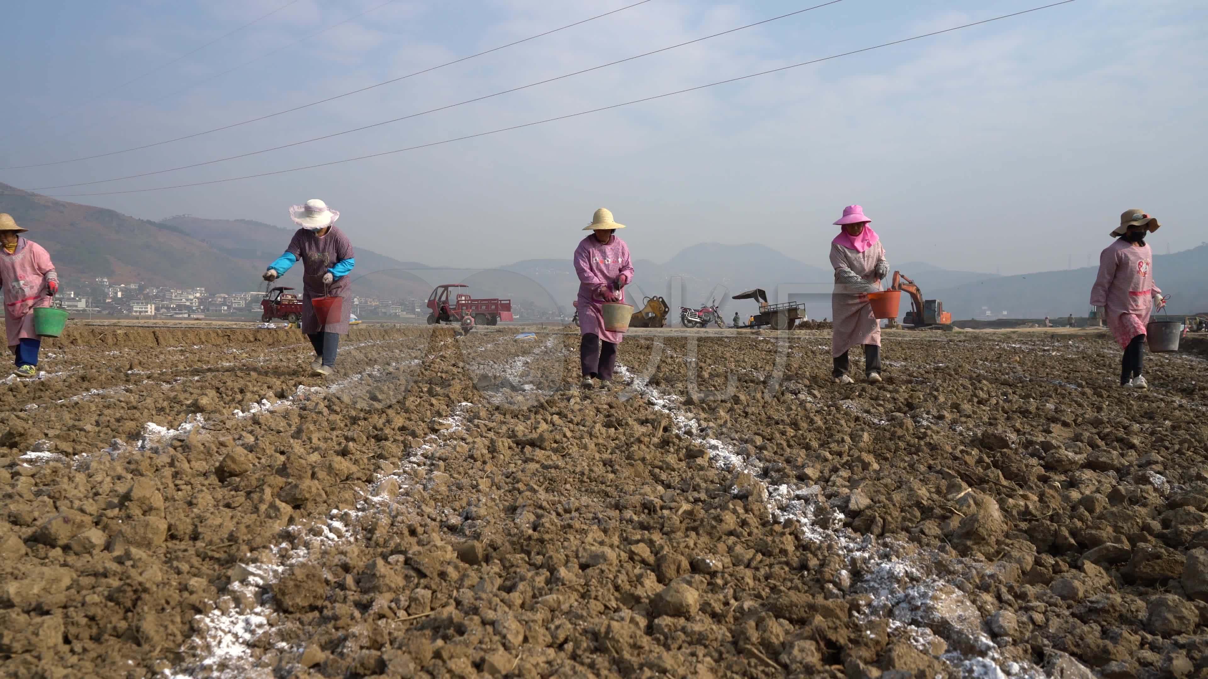 农民种地四_3840X2160_高清视频素材下载(编号:5165687)_实拍视频_光厂(VJ师网) www.vjshi.com