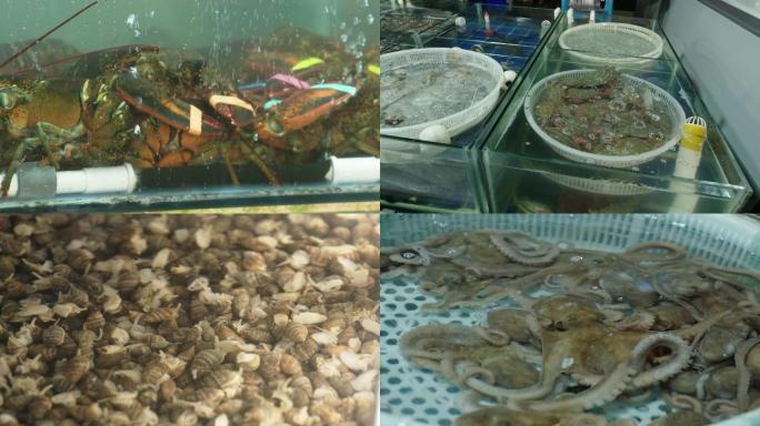 海鲜市场海产品