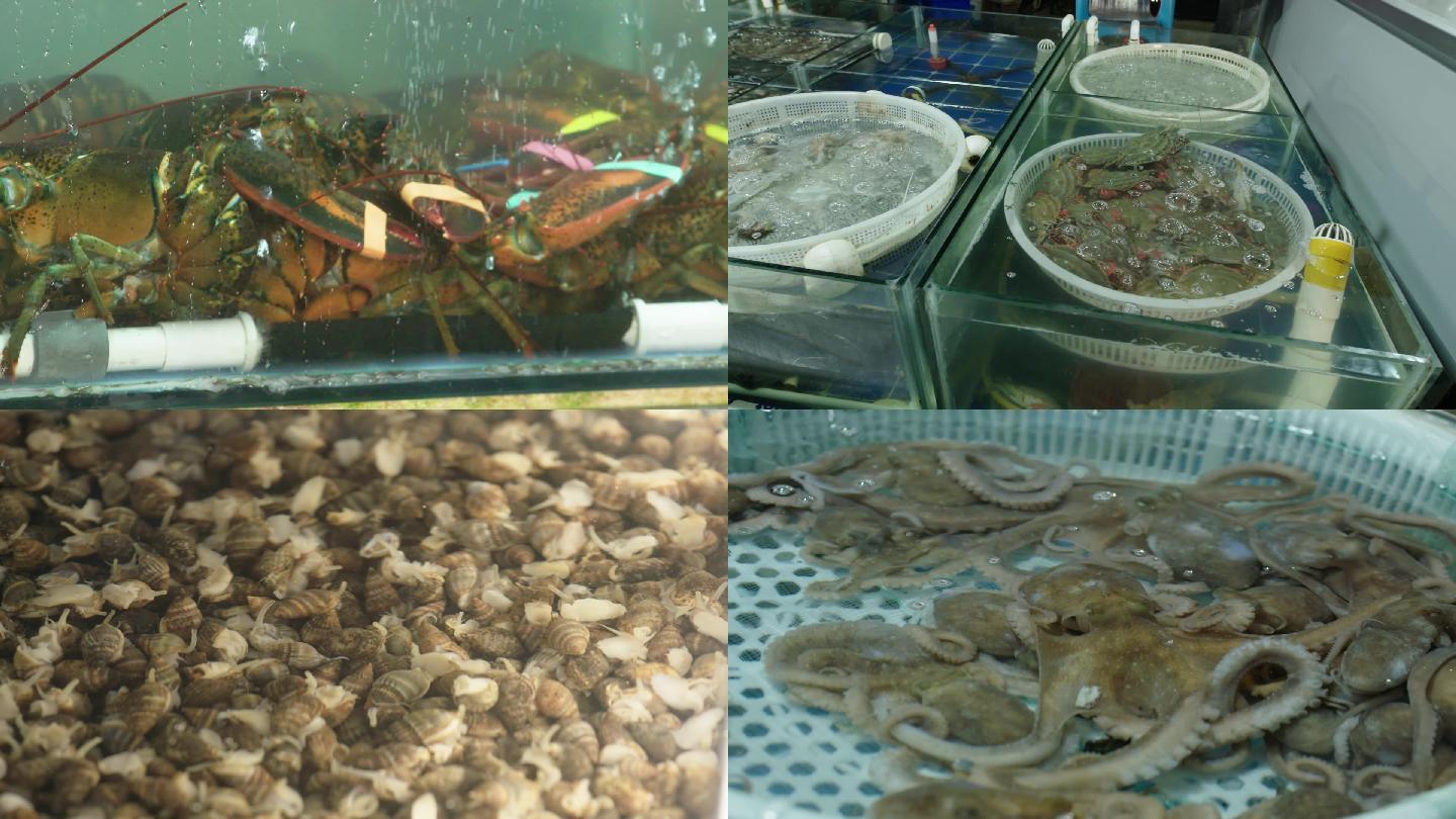 海鲜市场海产品