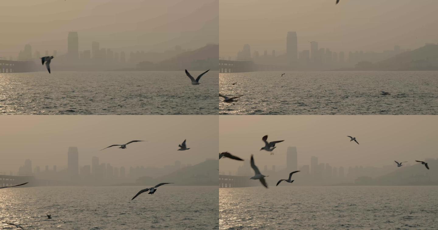 雾霾城市海面跨海大桥环境污染4k