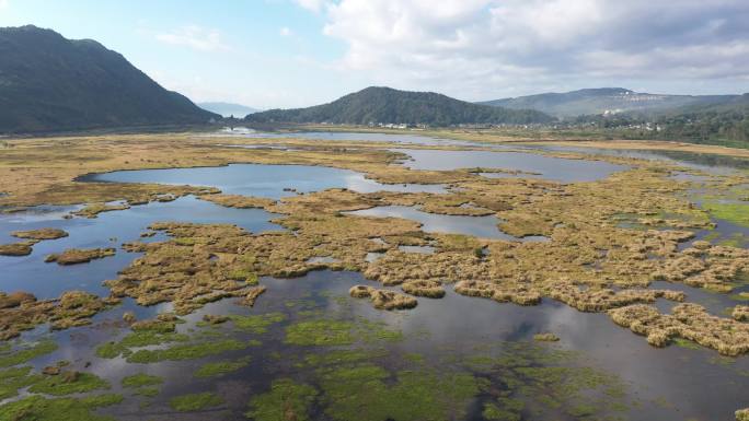 腾冲北海湿地