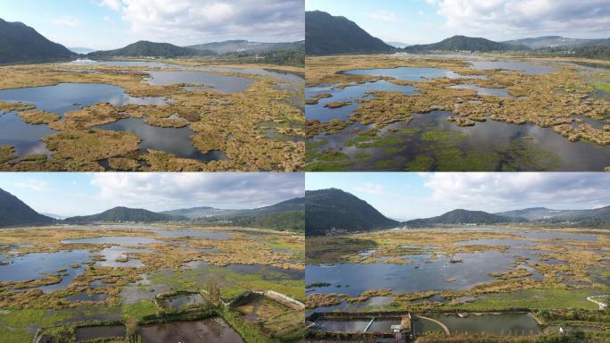 腾冲北海湿地