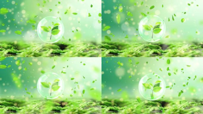 4K绿色绿叶环保背景循环