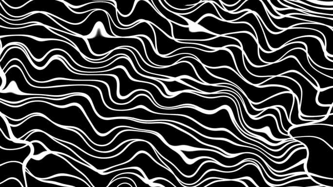 黑白线条动态-6