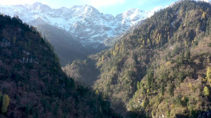 雪山秋景