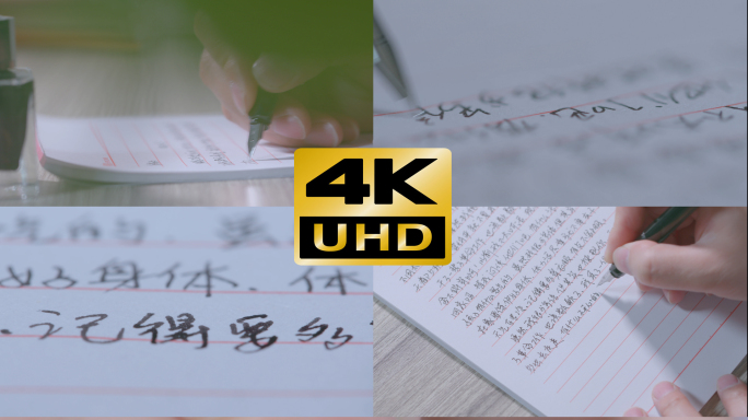 【超全】用钢笔写书信4K