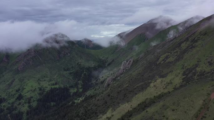 高原湖泊雪山