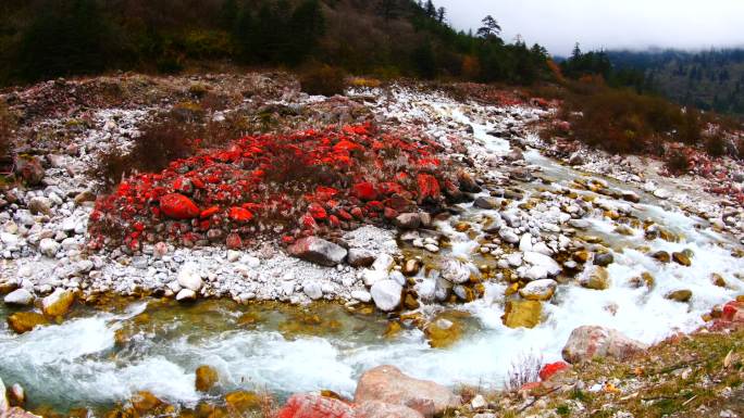 燕子沟红石滩