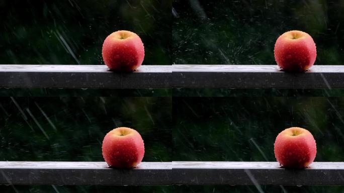 空镜苹果在风中被雨水敲打