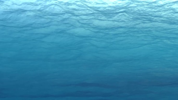 海底海水超宽画幅