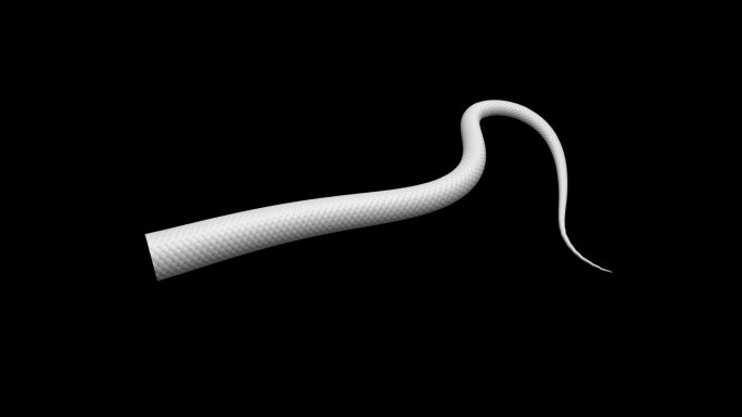 白蛇尾巴