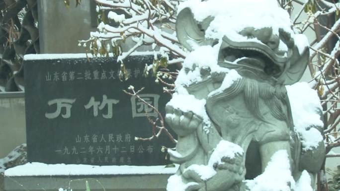 趵突泉雪景高清素材