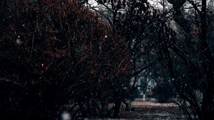 公园雪景红墙雪景