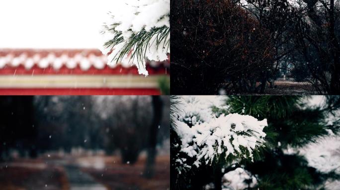 公园雪景红墙雪景