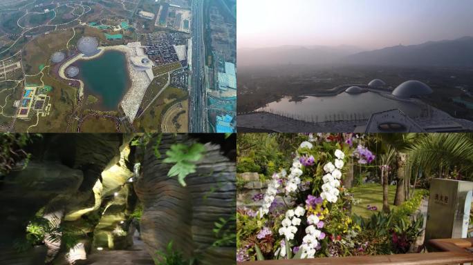 太原植物园太原新网红地标热带雨林